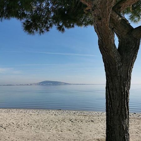 Mèze, charmant petit studio proche port Esterno foto