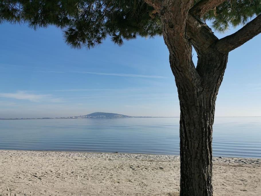 Mèze, charmant petit studio proche port Esterno foto